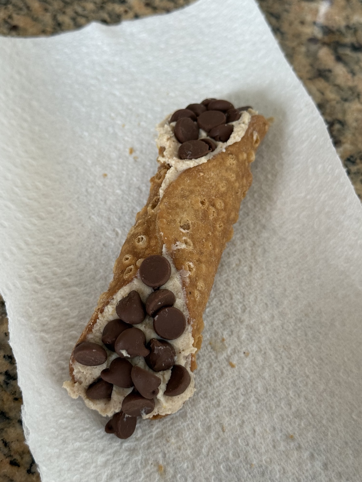 Fresh cannoli finished with chocolate chips